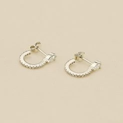 Créoles SNAKY - Cristal / Argenté