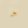 Piercing Puce STARRY - Doré -Accessoires De Mode 02390076 157 TU 01